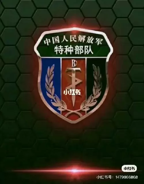 解放军游戏大全