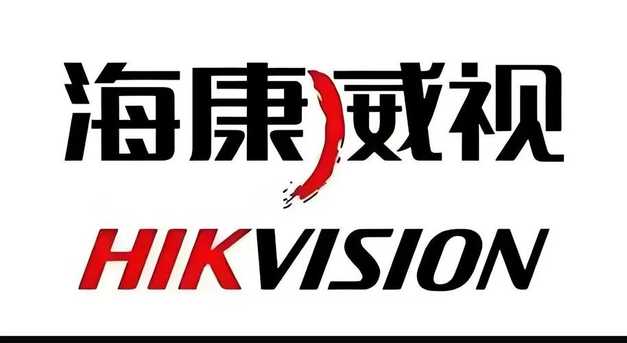海康是什么样的一个公司