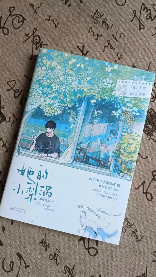 她的小梨涡免费阅读全本
