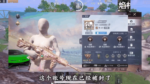 和平精英关闭历史战绩