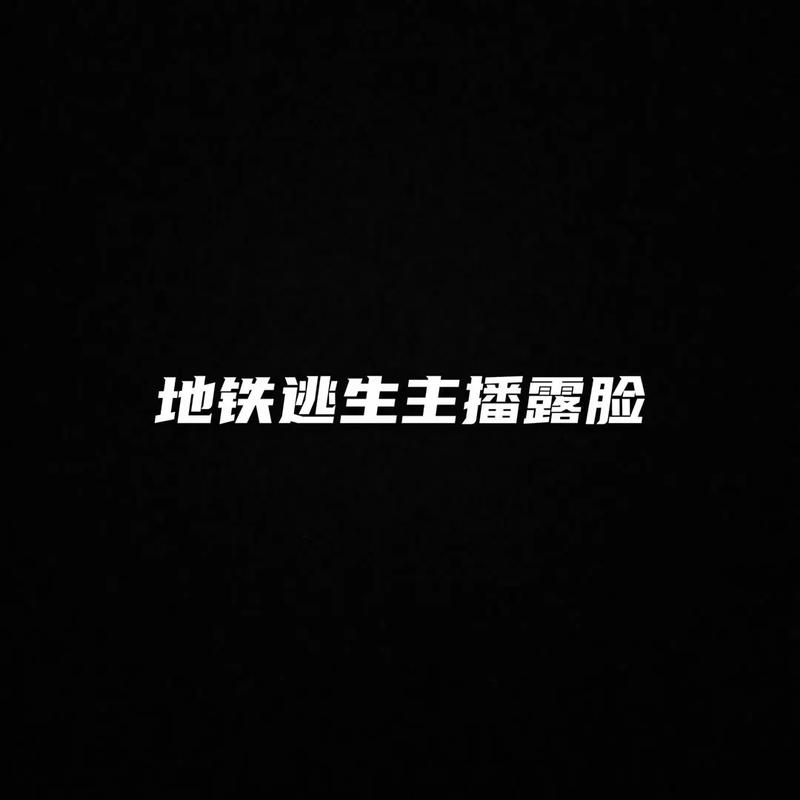 主播玩的地铁逃生下载