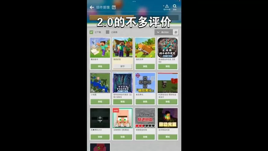 烦人的村民模组安装包