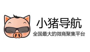 小猪导航加微信群免费下载