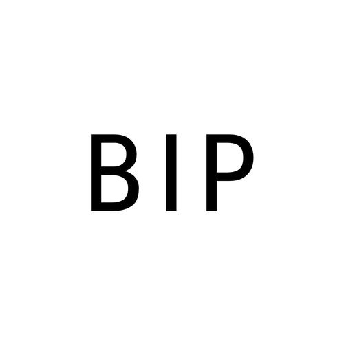 bip是哪个软件的文件