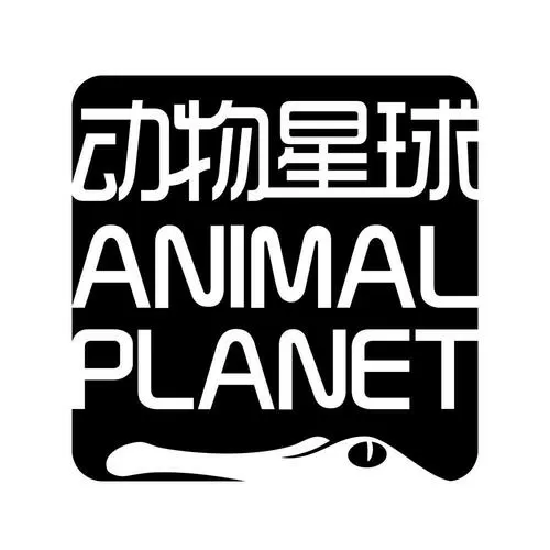 动物星球赚钱