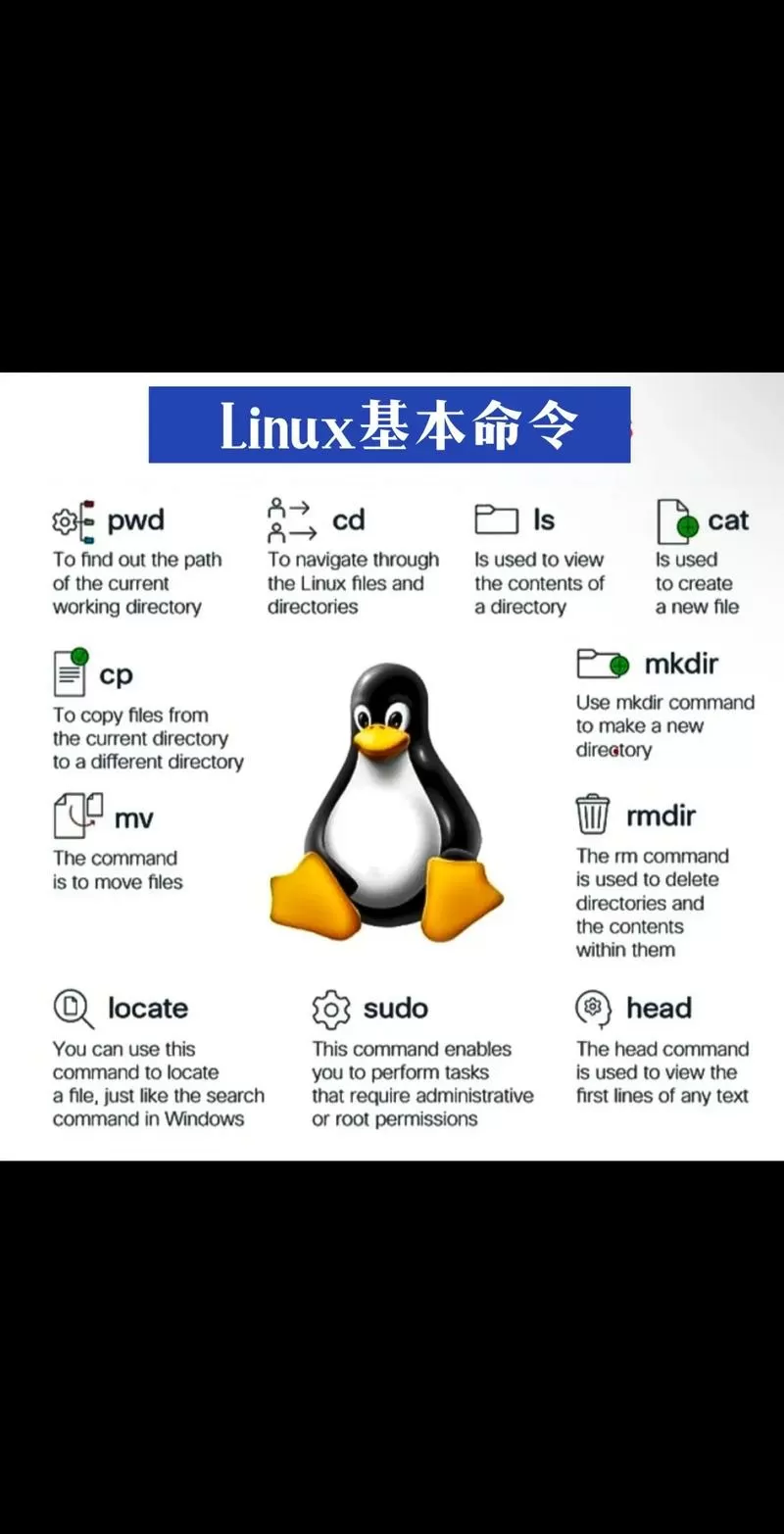 linux命令行打开u盘