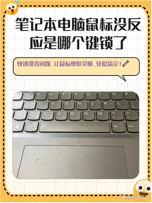 电脑鼠标键盘没反应怎么回事