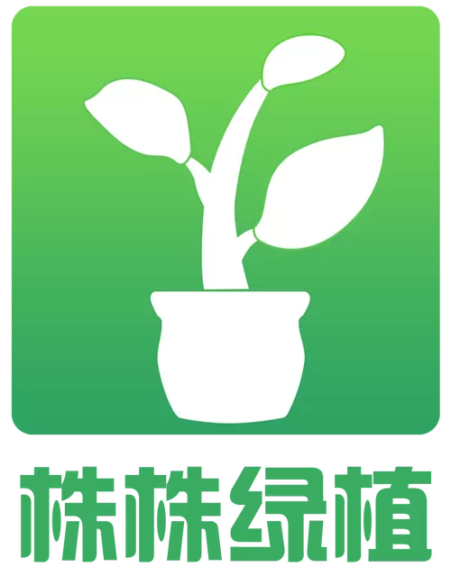 绿植盆栽进货渠道