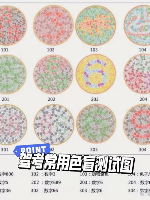 驾校的色盲测试图