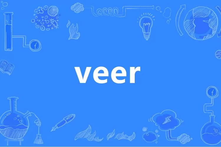 veee使用教程