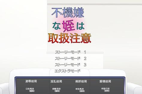 满脸嫌弃的侄女汉化直装版