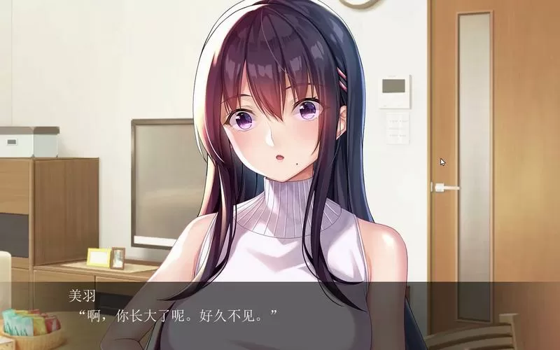 请停手吧姐姐大人要断最新版