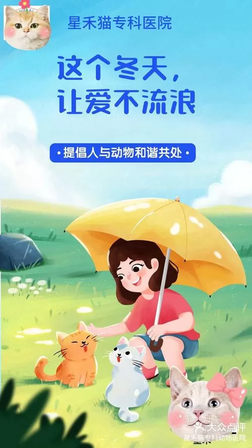流浪猫与小女孩的故事