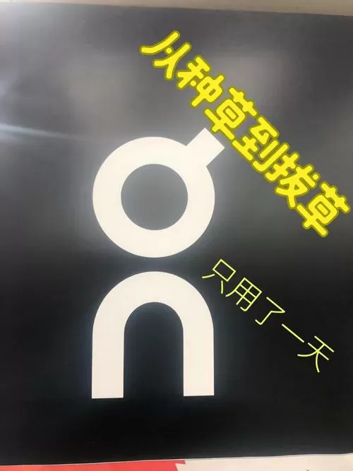 macdonald什么意思
