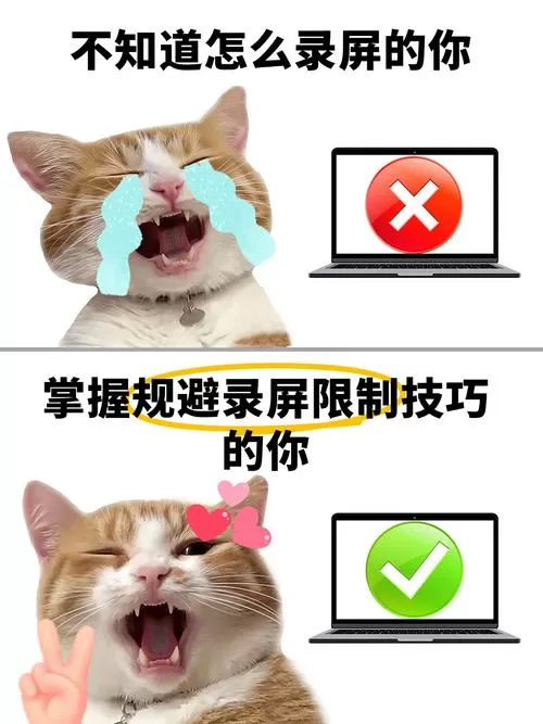 录屏破解禁止录屏限制