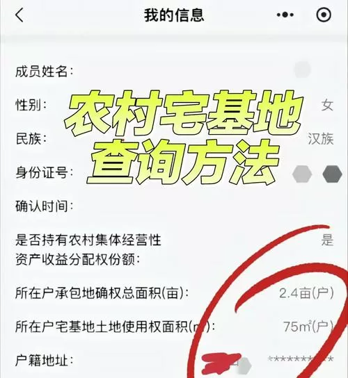 农村宅基证查询系统