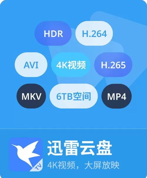 迅雷能投屏到电视吗