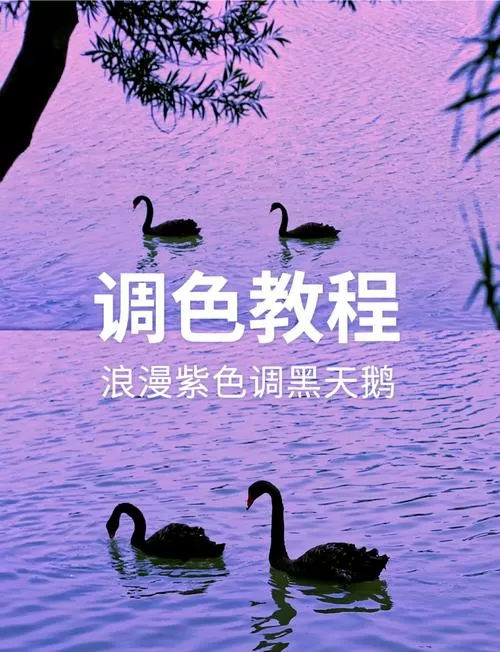 电脑屏幕变成紫色了怎么调回去