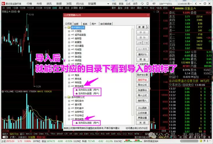 通达信怎么导入tne文件