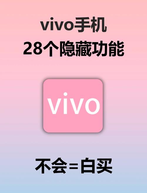 vivo手机有防偷窥模式吗