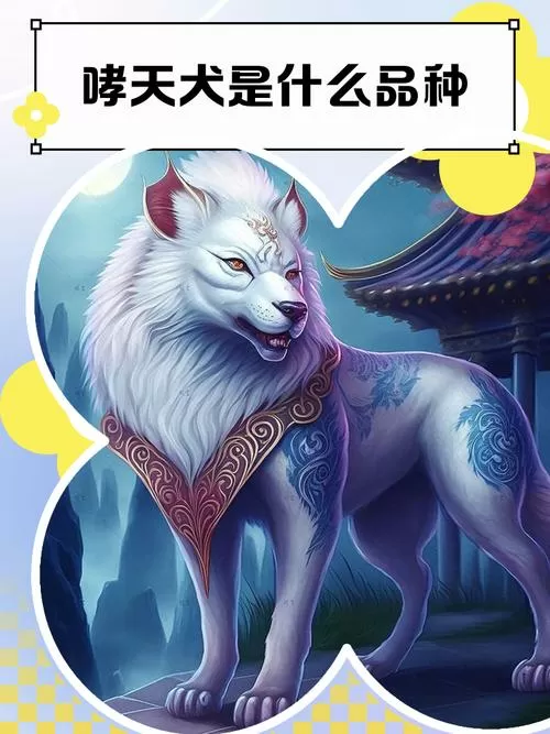 哮天犬V14Pro破解版