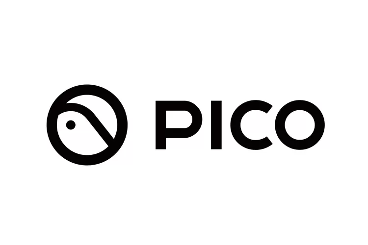 pico互联10.0