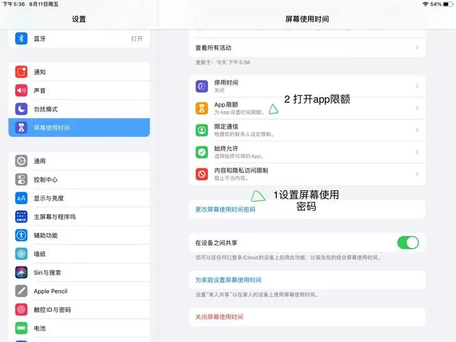 ipad怎么设置软件锁