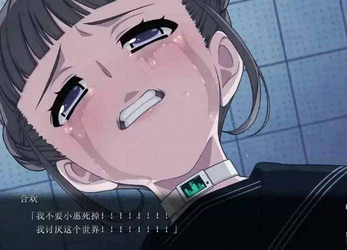乐园Euphoria手机