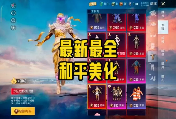 明帝美化助手和平游戏截图