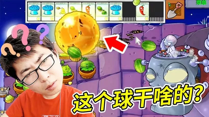 植物大战僵尸男生版