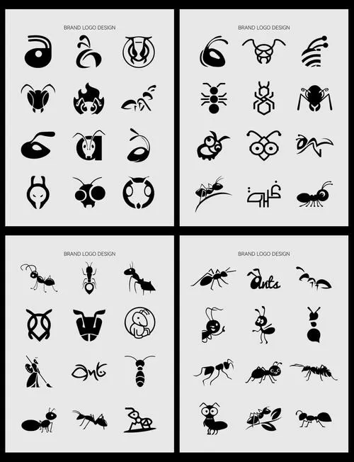 蚂蚁的种类