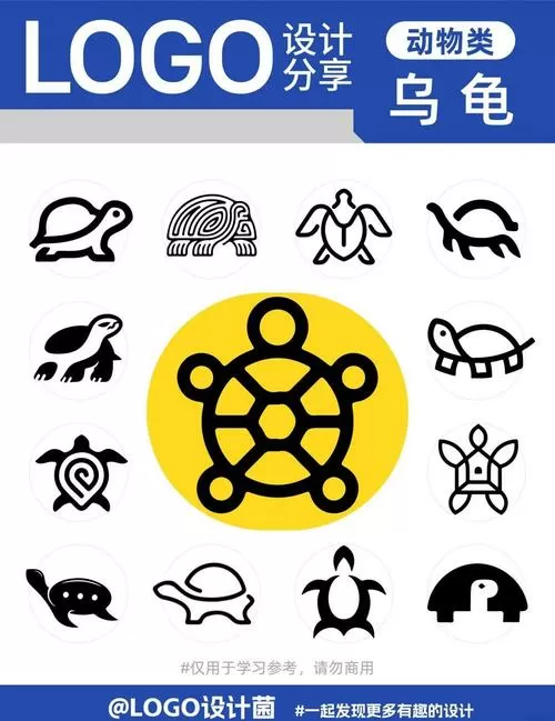 乌龟宝宝