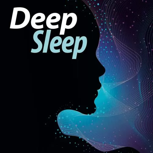 deepsleep2.apk