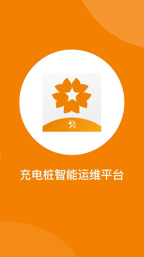 星星充电桩的使用方法