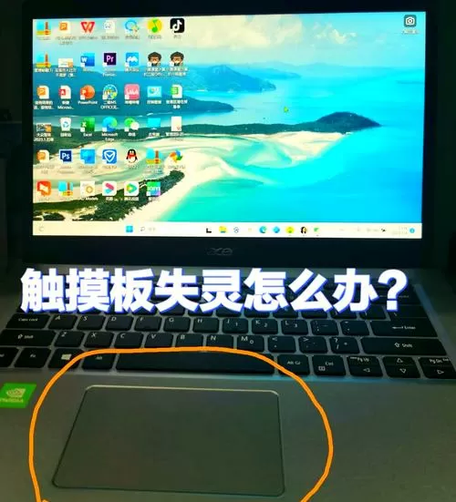 笔记本触摸板没反应了