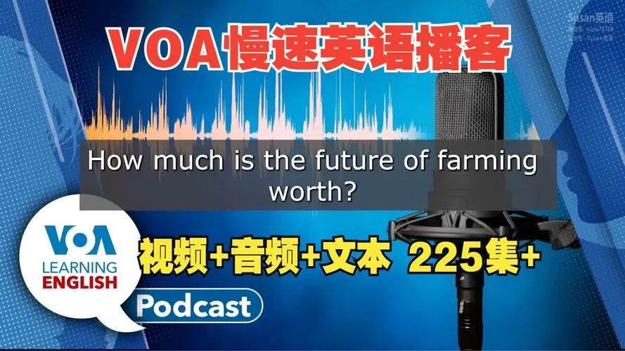 voa慢速英语在线收听及翻译