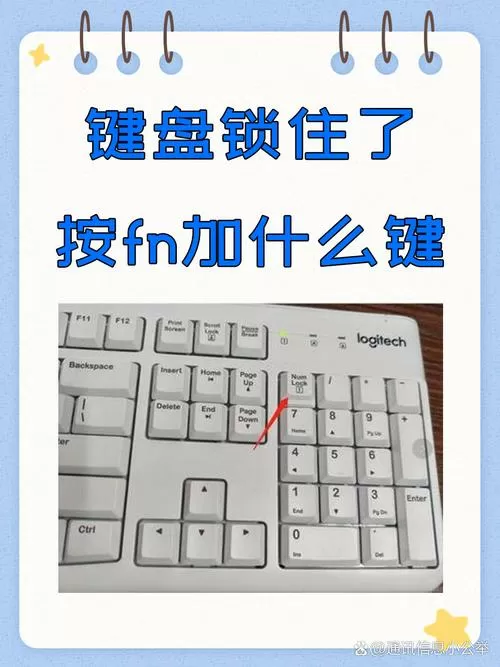 fn键盘锁定了怎么打开它