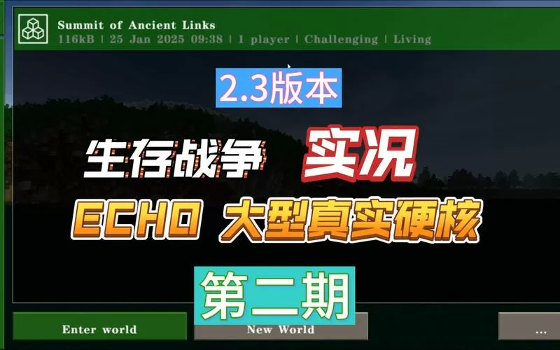生存战争Echo模组手机版