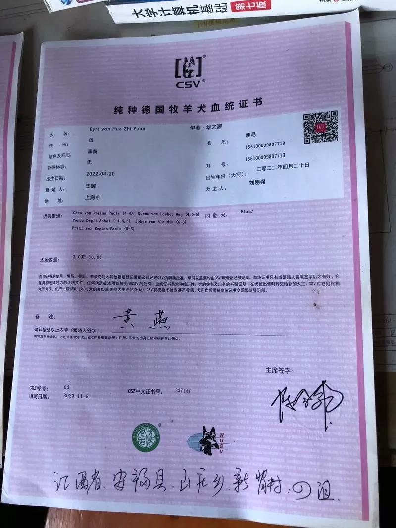 德牧血统证书查询