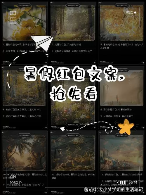我的暑假秘密回忆2018新春版礼包码