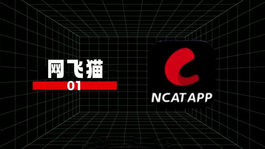 飞猫云下载路径