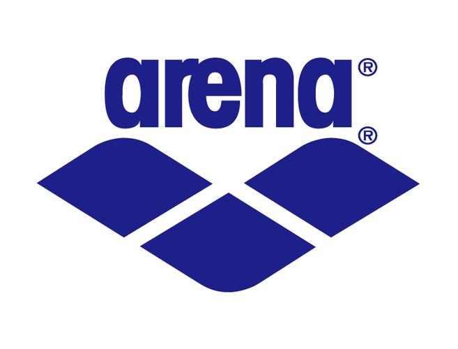 arena先行服下载
