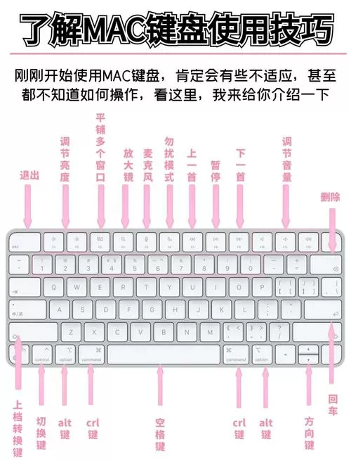 苹果键盘灵敏度怎么调