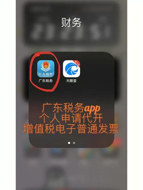 广东税务app官方下载安卓版