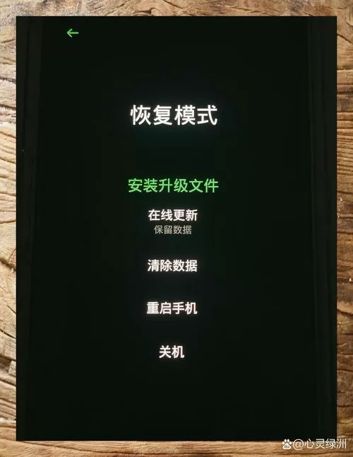 oppo进入恢复模式还要密码