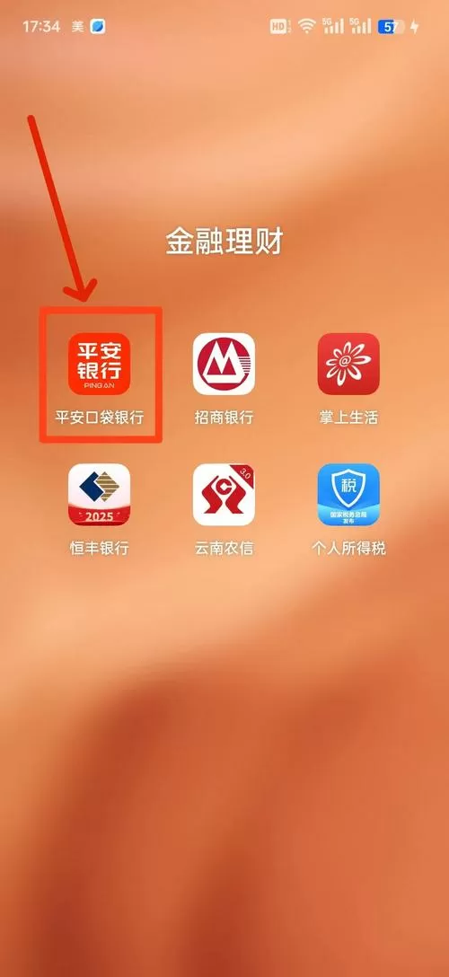 不同银行之间能查银行记录吗