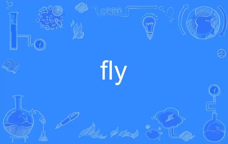 fly
