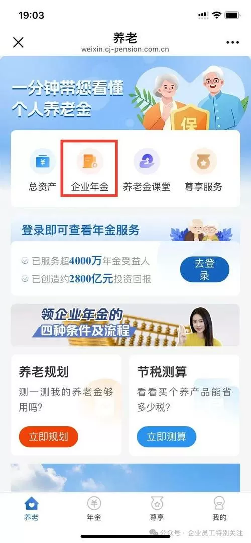 企业年金查询余额