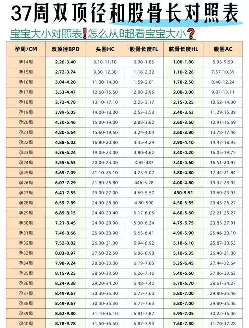 胎儿体重月份对照表