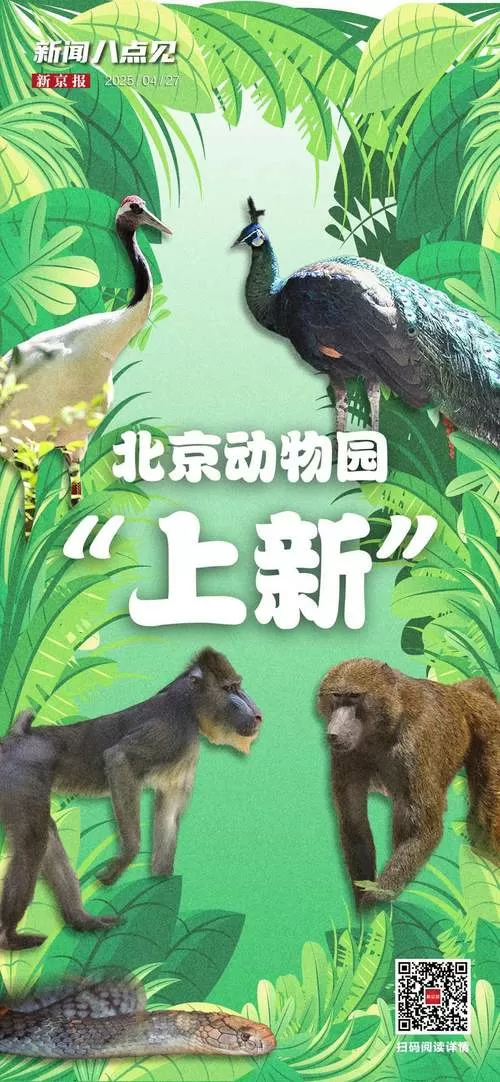 动物世界币圈